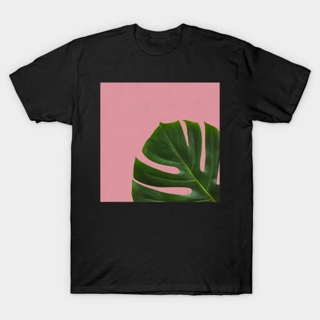 Monstera Leaf on Pink Background- Tropical Plant Vibe T-Shirt by opptop